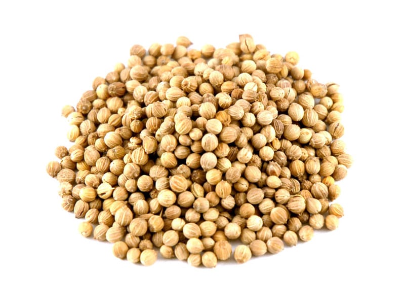 coriander