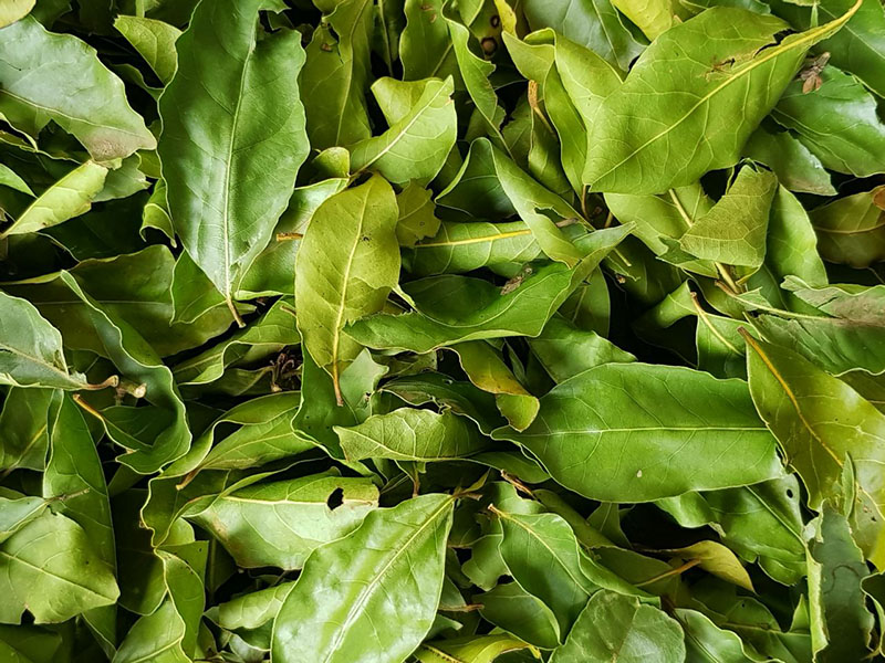 Products | ALBATTA Food Industries